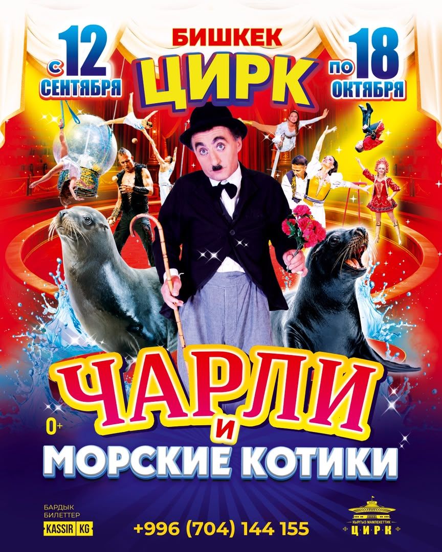 Цирк Чарли и Морские котики