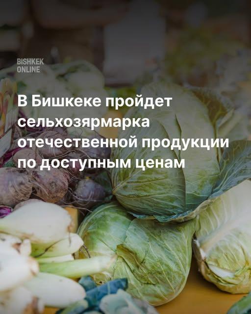 Выставка-ярмарка «Алтын күз» (Золотая осень)