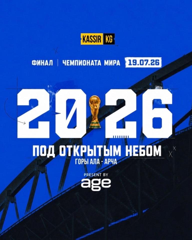 Финал Чемпионата Мира по футболу под открытым небом