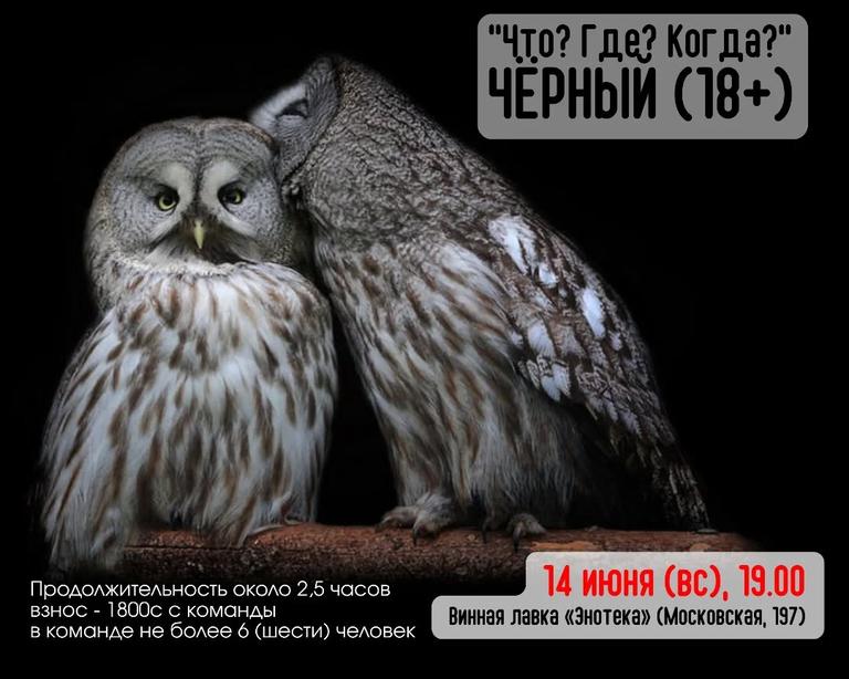 Асинхронный турнир «Сквиртл» — "Что? Где? Когда?" (Чёрный)