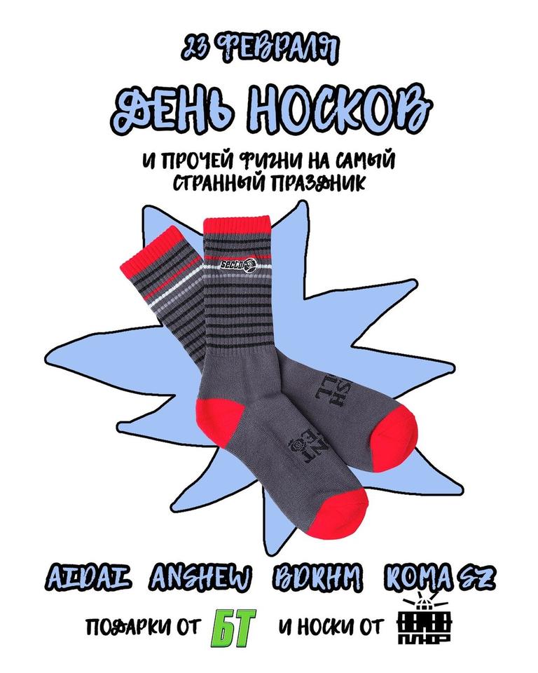 ДЕНЬ НОСКОВ