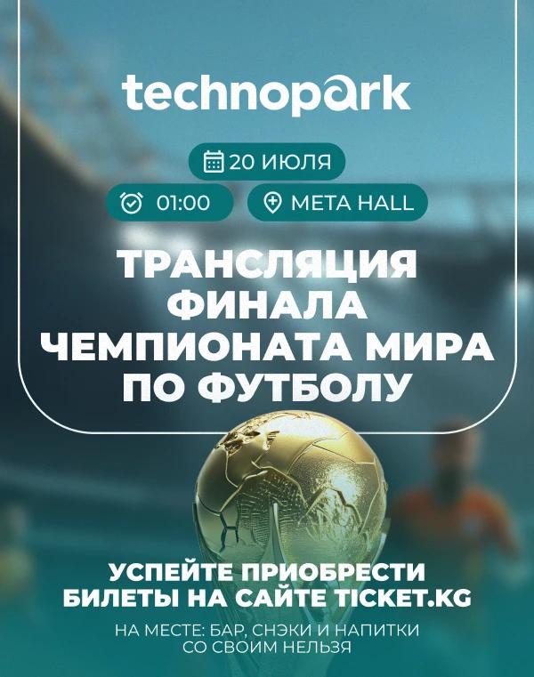 Трансляция финала чемпионата мира по футболу