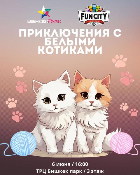 Приключения с белыми котиками