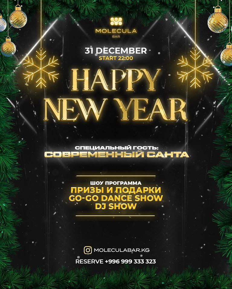 Happy New Year: Современный Санта