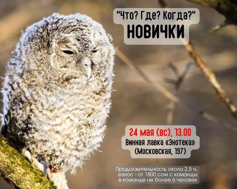 “Что? Где? Когда?” (Новички)
