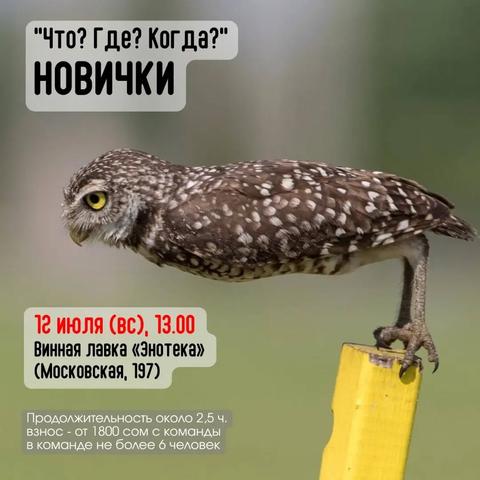 Что? Где? Когда? Новички