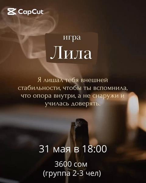 Игра "Лила"