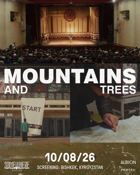 Mountains and Trees