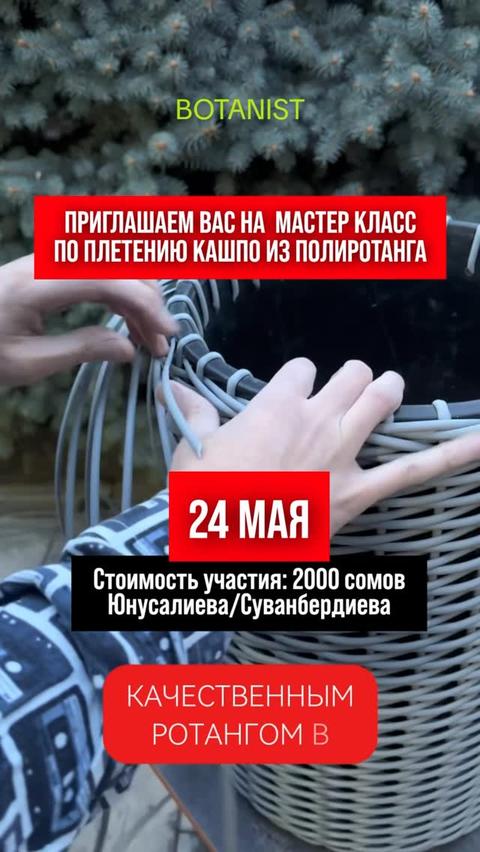 Основы плетения