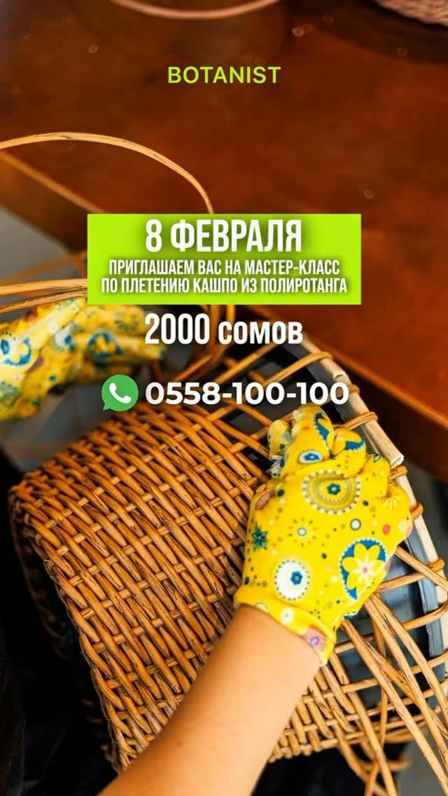 Основы плетения