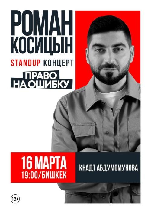Роман Косицын «Право на ошибку»