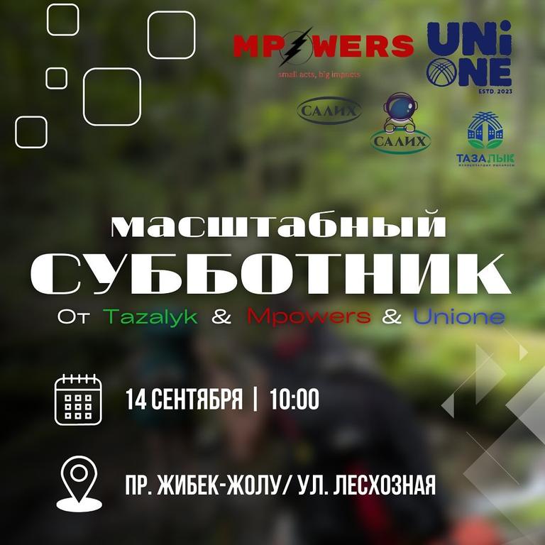 Масштабный субботник