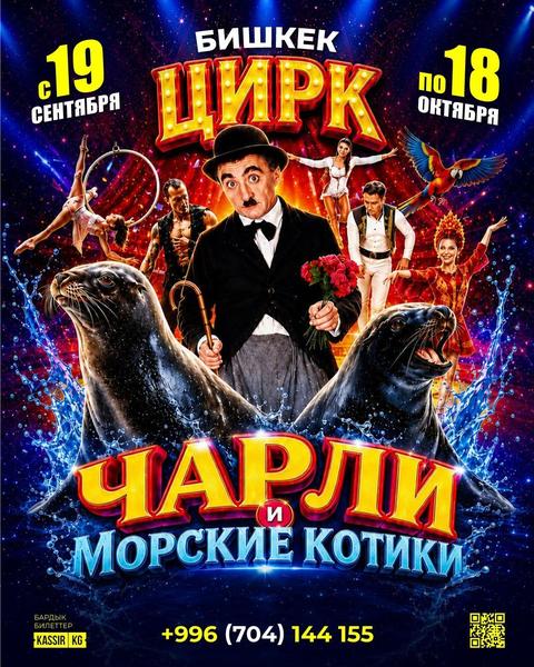 Цирк Чарли и Морские котики