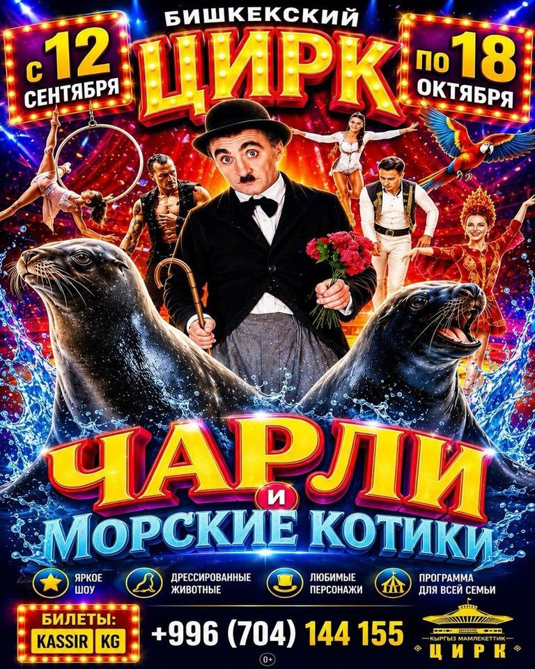 Цирк Чарли и Морские котики
