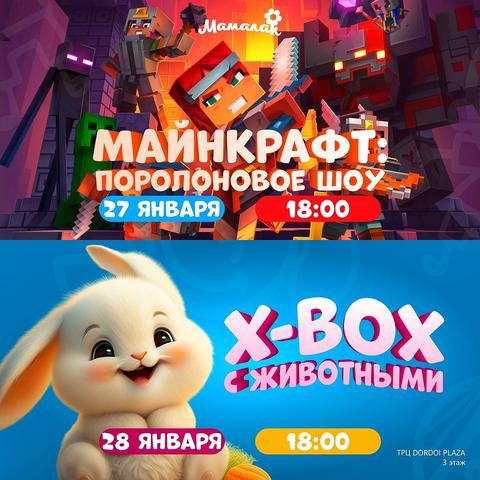 X-BOX с животными